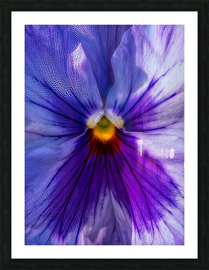FLO 02154 Picture Frame print