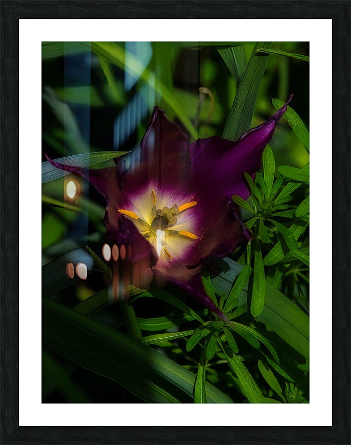 FLO 02207 Picture Frame print