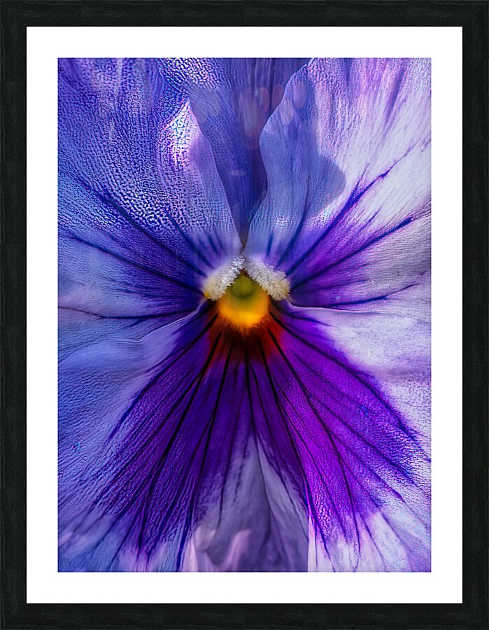 FLO 02305 Picture Frame print