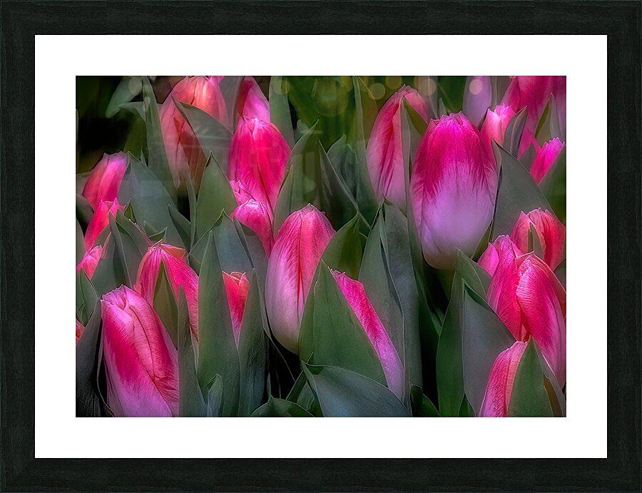 FLO 02266 Picture Frame print