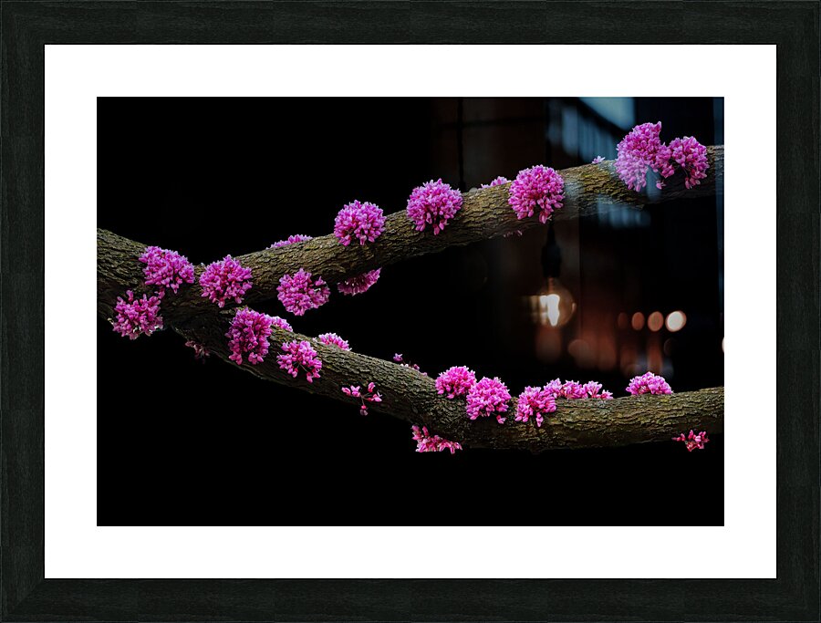 FLO 02310 Picture Frame print