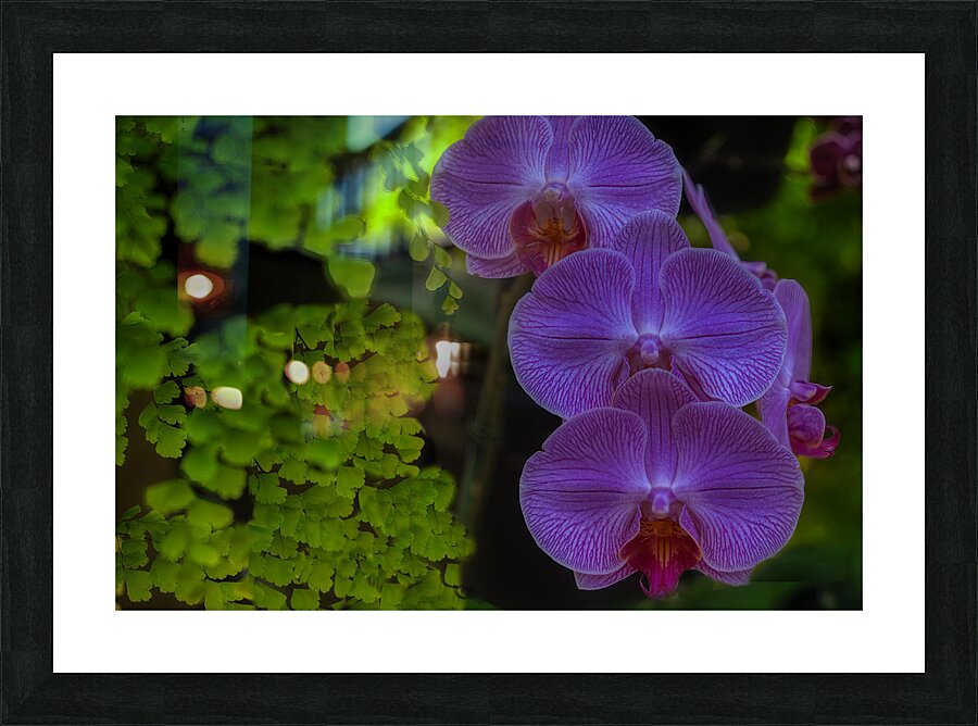 FLO 02289 Picture Frame print