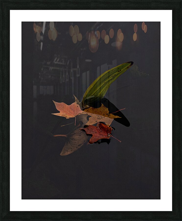 FLO 02325 Picture Frame print
