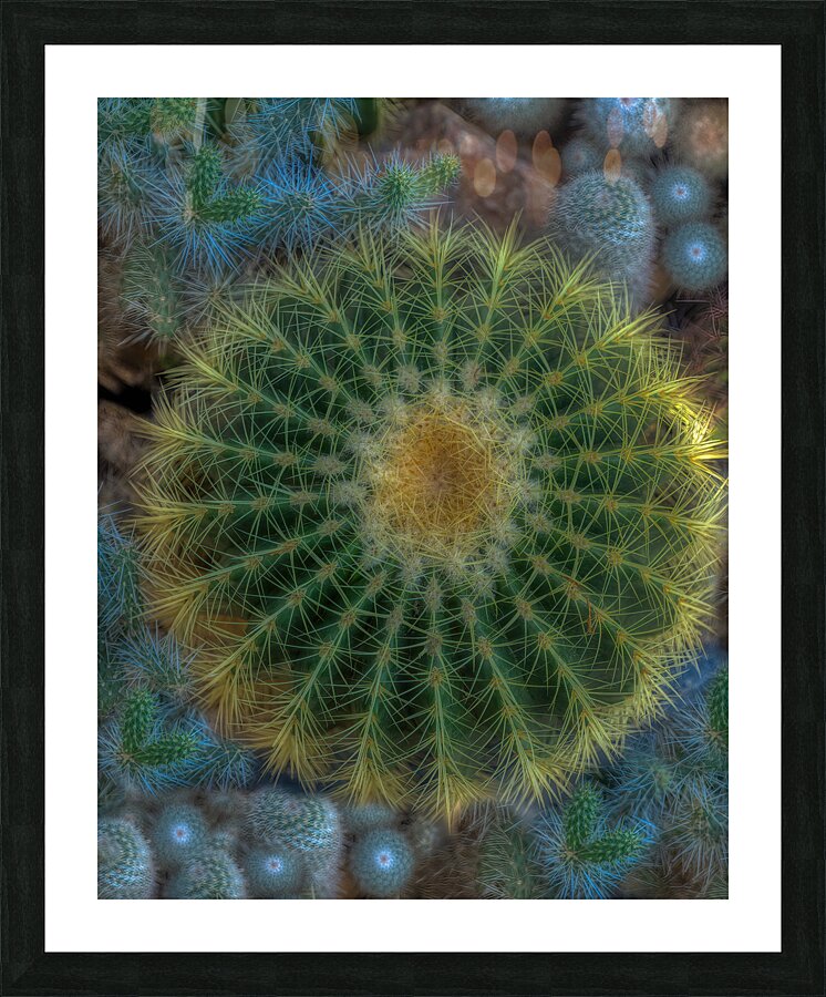 FLO 02291 Picture Frame print