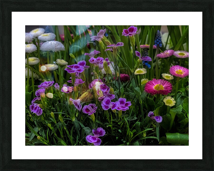 FLO 02274 Picture Frame print