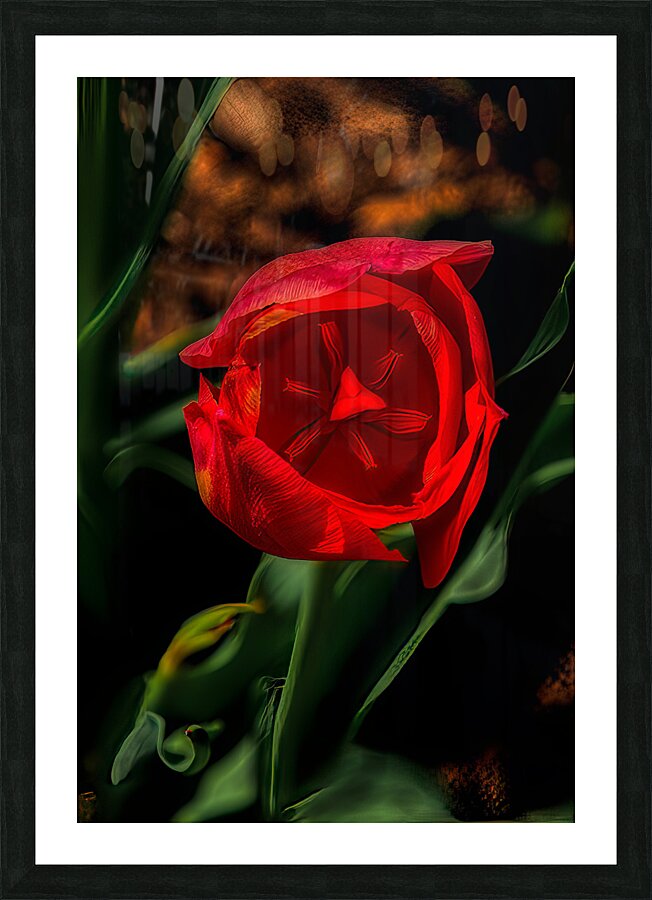 FLO 02211 Picture Frame print
