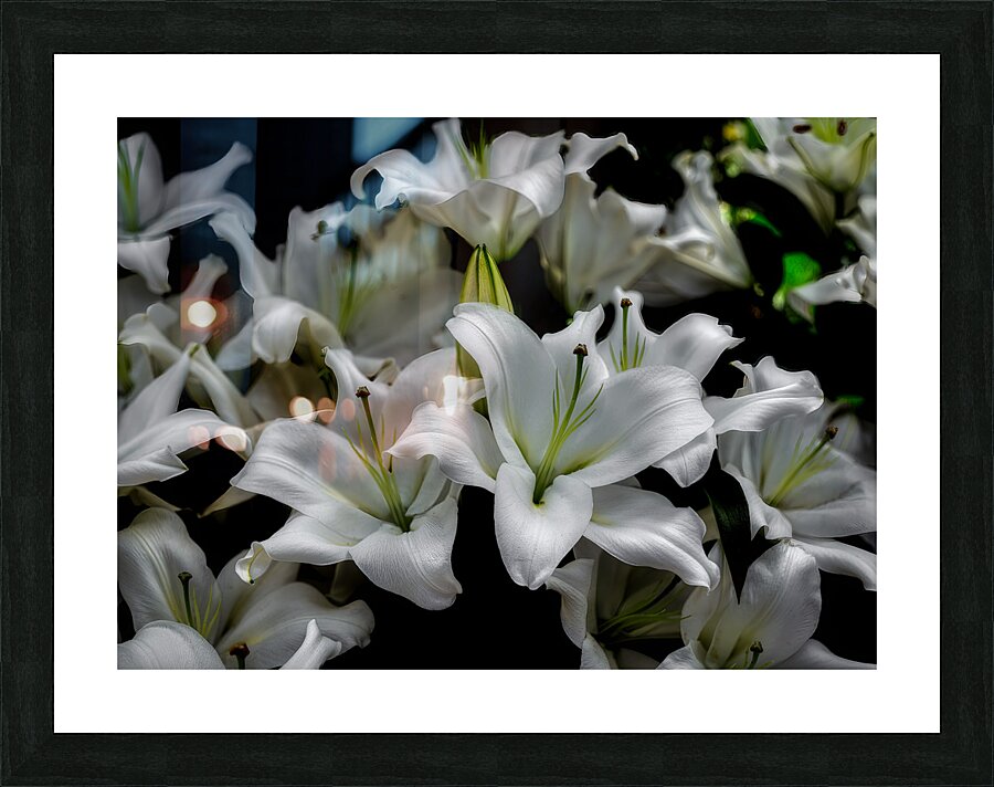 FLO 02287 Picture Frame print