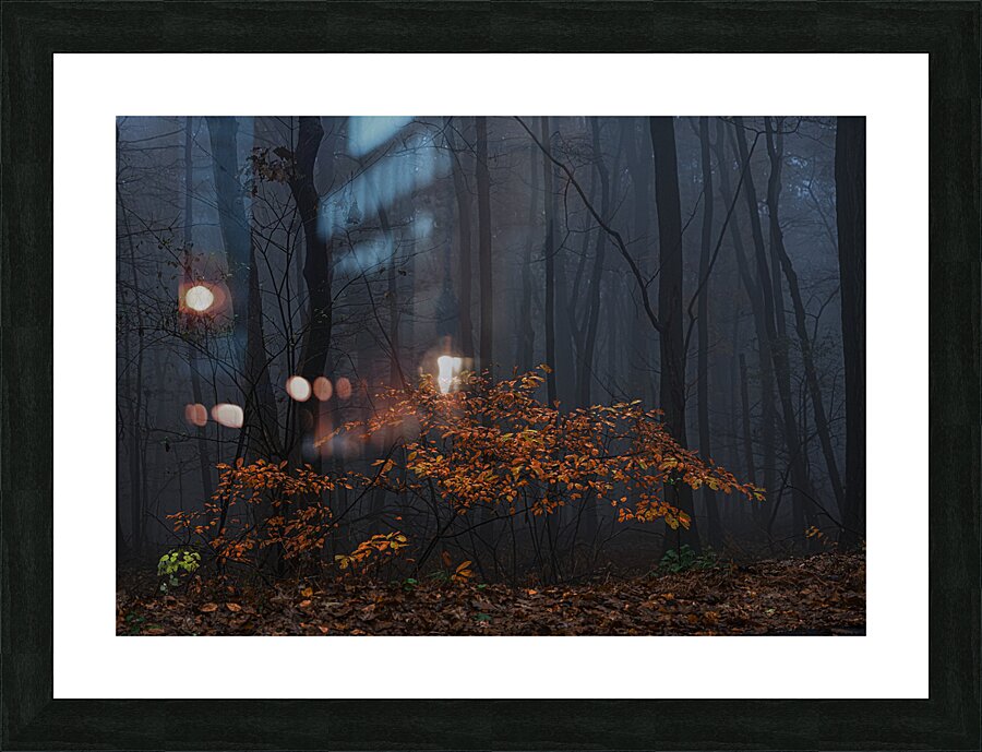 LAN 02297 Picture Frame print