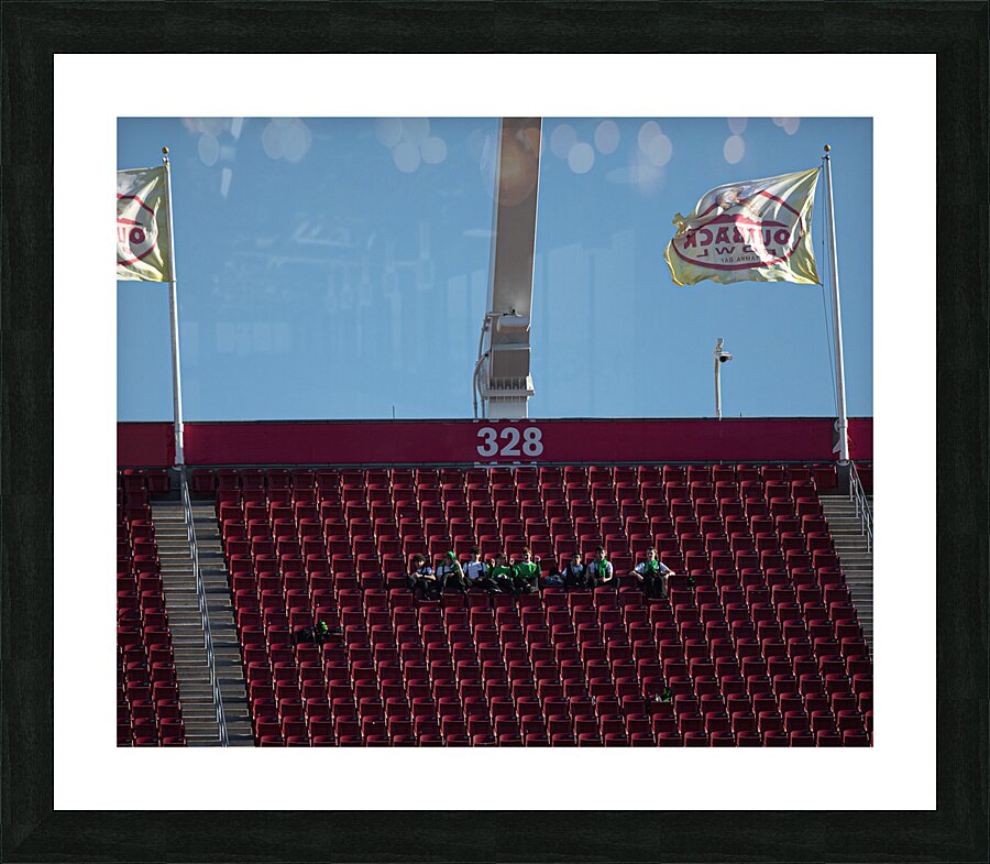 MIS 02140 Picture Frame print