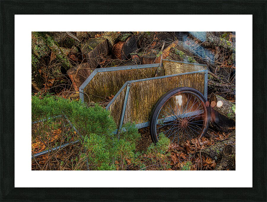 MIS 02226 Picture Frame print