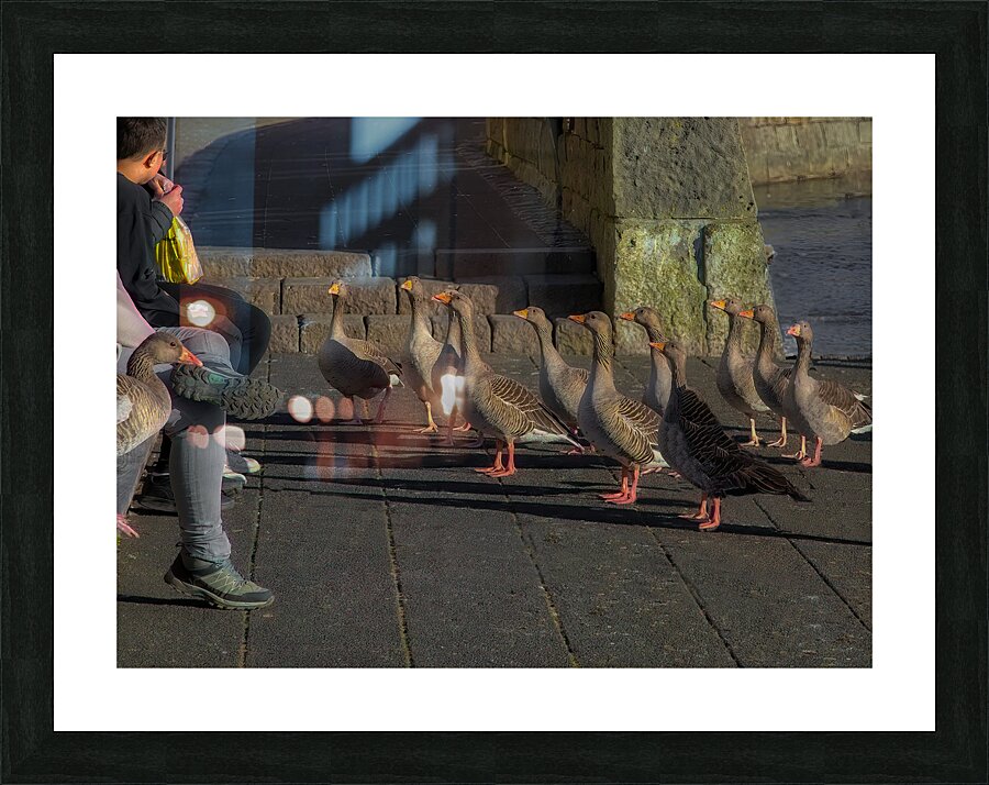 MIS 02144 Picture Frame print