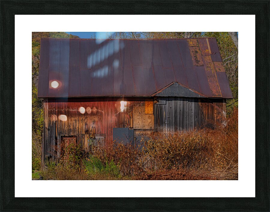 MIS 02317 Picture Frame print