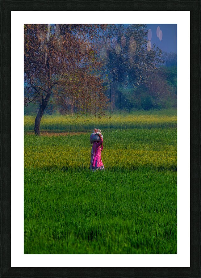 PEO 02368 Picture Frame print