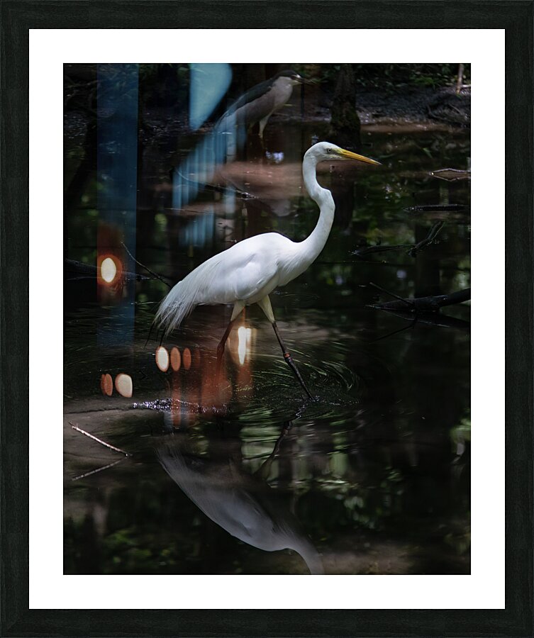 BIR 02417 Picture Frame print