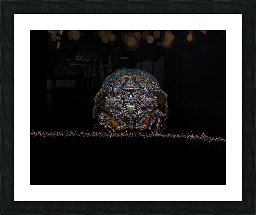 INS 02426 Picture Frame print