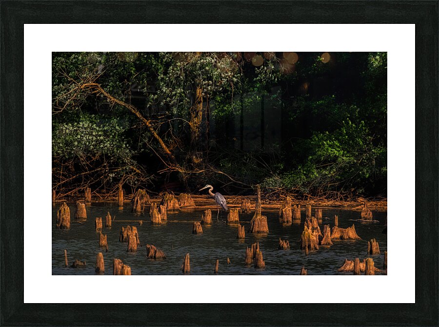 BIR 02438 Picture Frame print