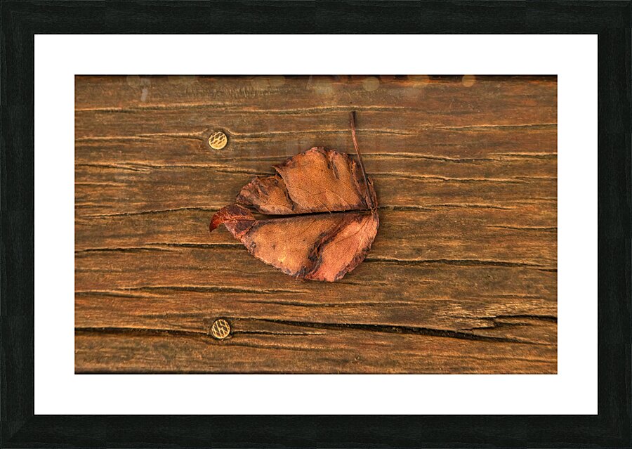 MIS 02444 Picture Frame print