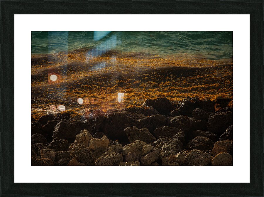 WAT 02453 Picture Frame print