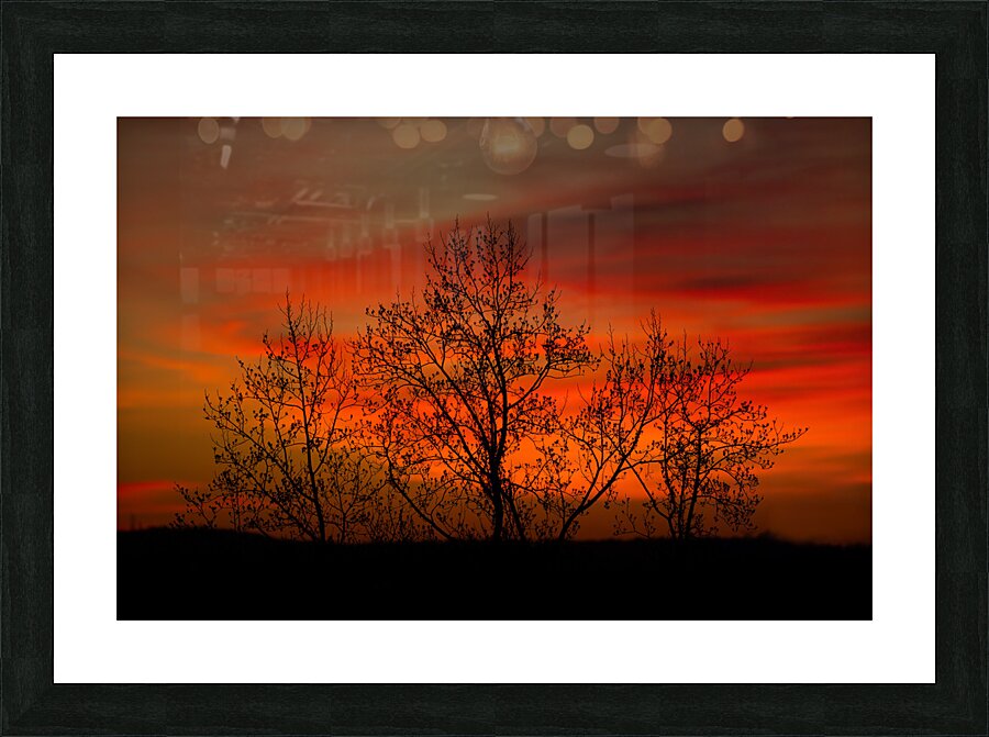 LAN 02471 Picture Frame print