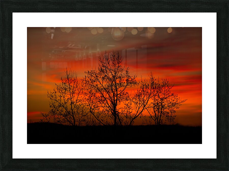 LAN 02538 Picture Frame print