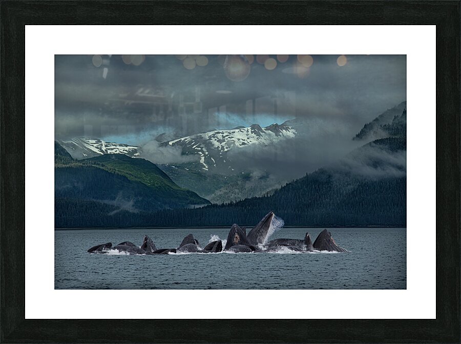 MIS 02579 Picture Frame print