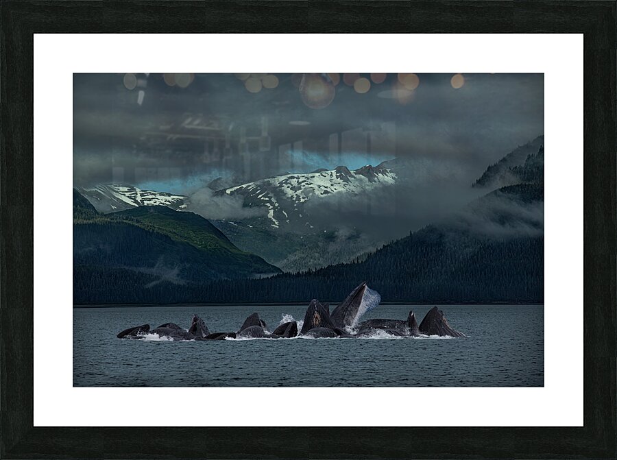 ANI 00125 Picture Frame print
