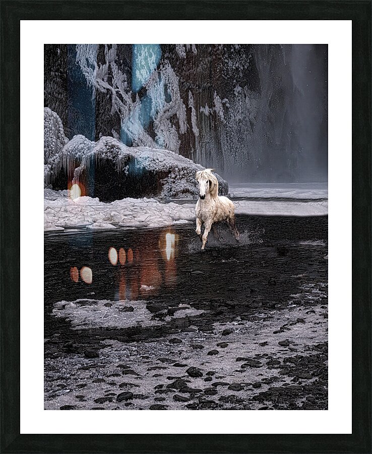 ANI 02548 Picture Frame print