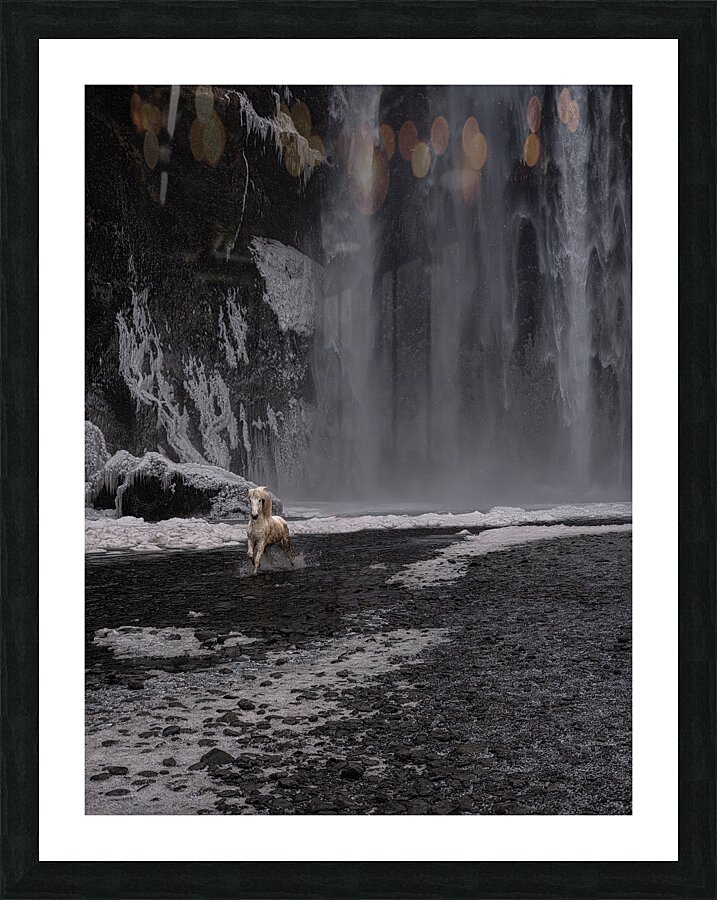 ANI 02584 Picture Frame print