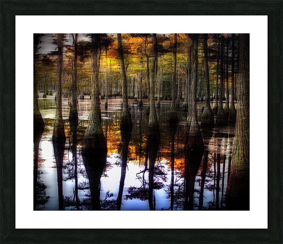 LAN 02585 Picture Frame print