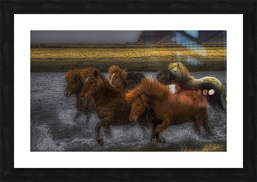 ANI 02613 Picture Frame print