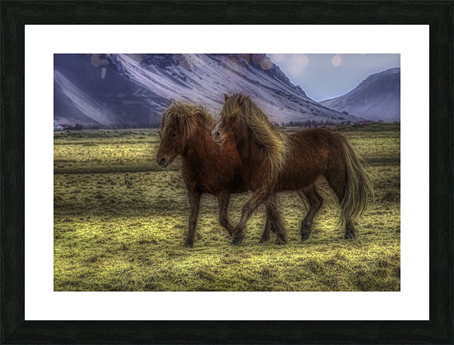 ANI 02607 Picture Frame print