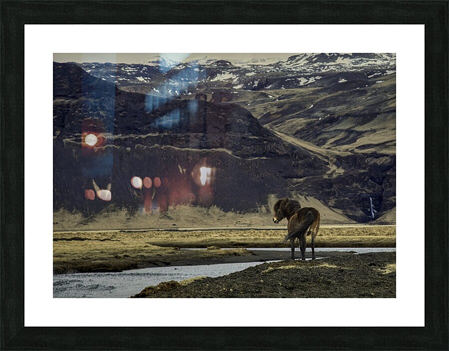 ANI 02609 Picture Frame print