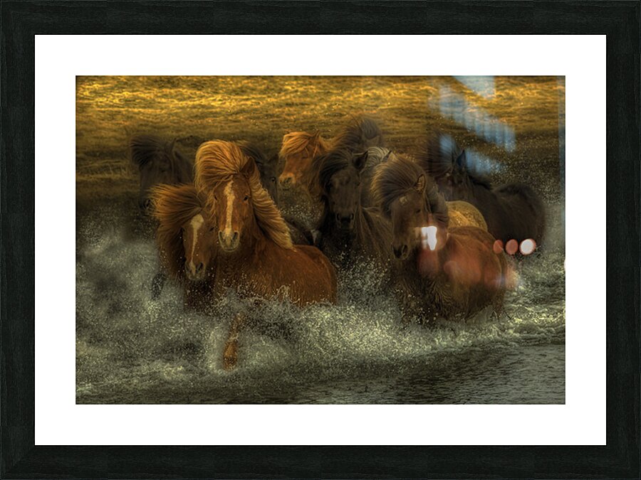 ANI 02611 Picture Frame print