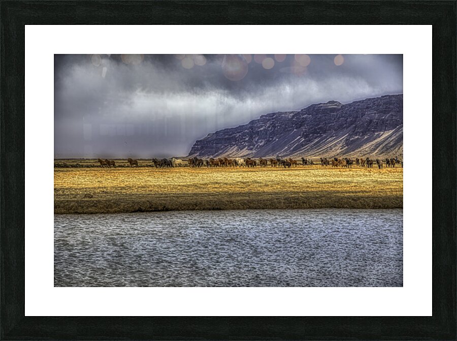 ANI 02606 Picture Frame print