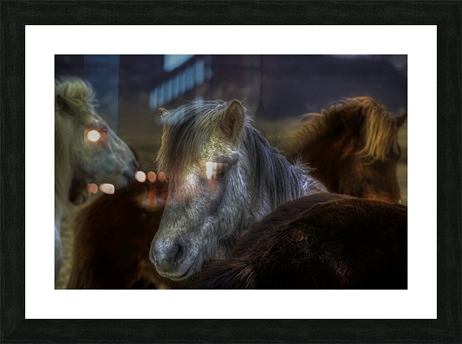 ANI 02604 Picture Frame print