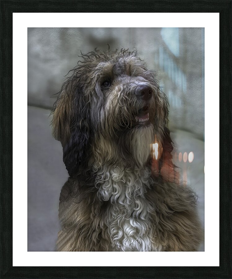 ANI 02589 Picture Frame print
