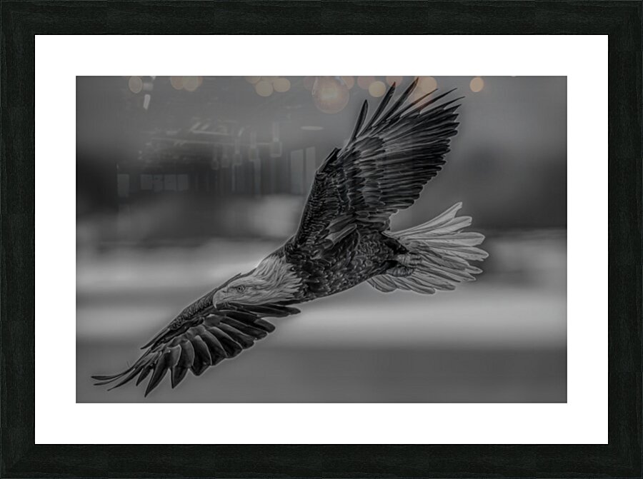 BIR 02623 Picture Frame print