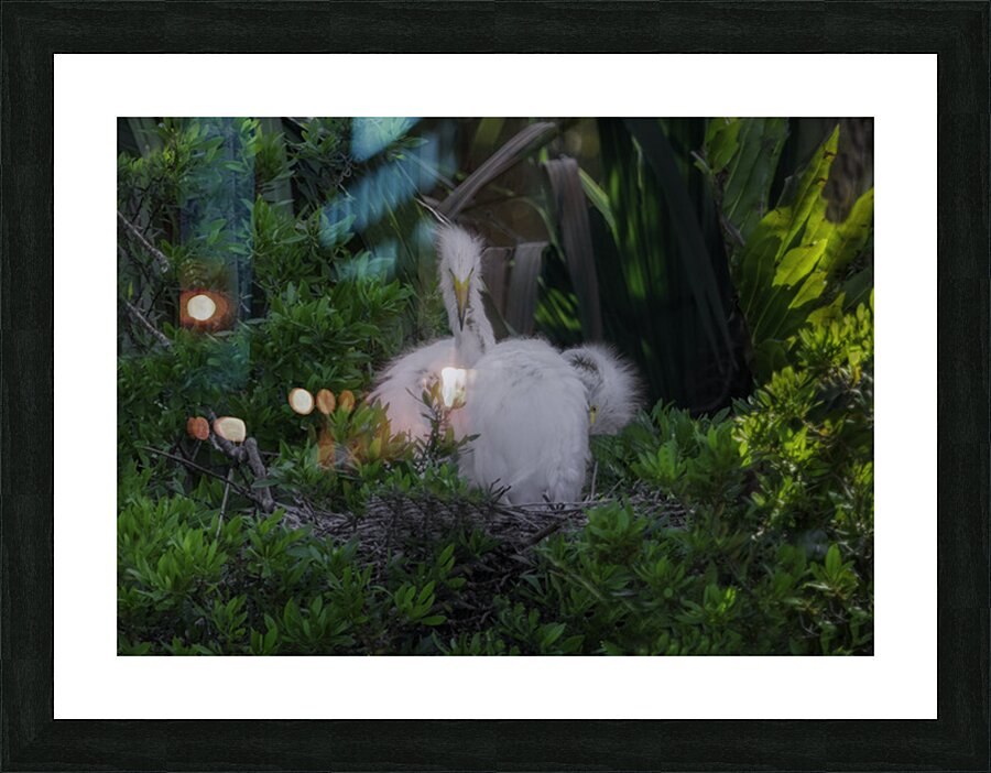 BIR 02610 Picture Frame print