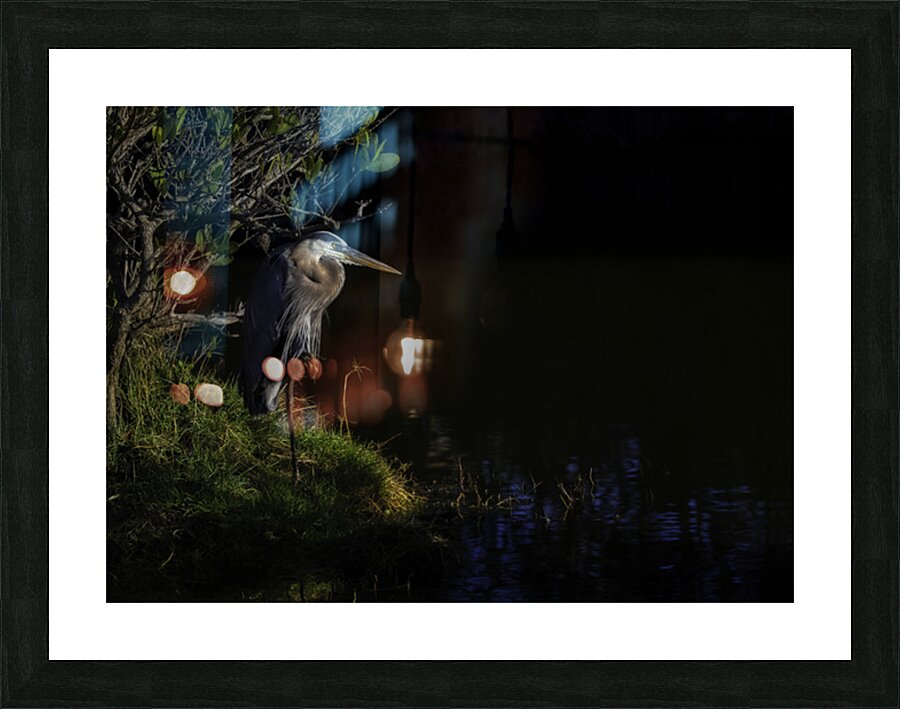 BIR 02605 Picture Frame print