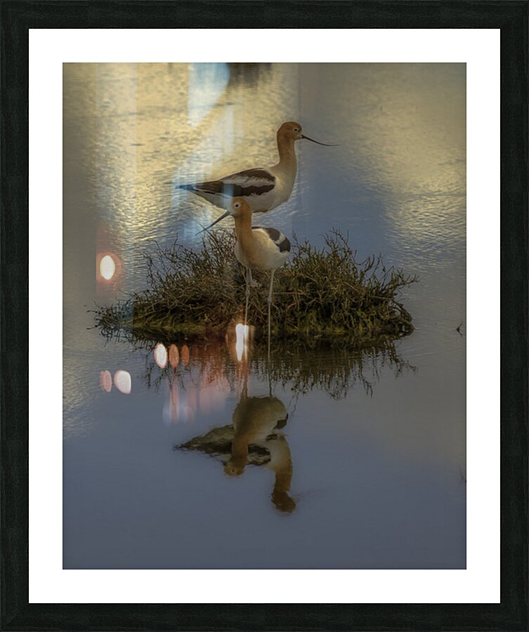 BIR 02614 Picture Frame print