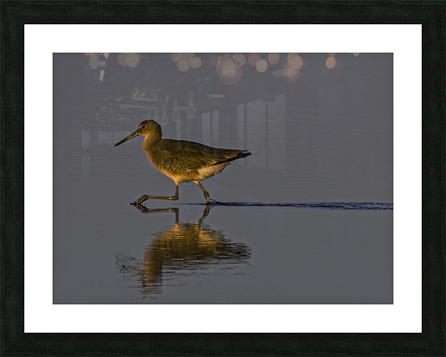 BIR 02625 Picture Frame print