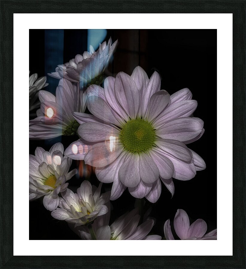 FLO 02591 Picture Frame print