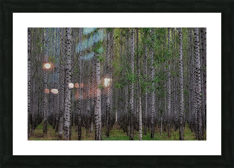 LAN 02617 Picture Frame print