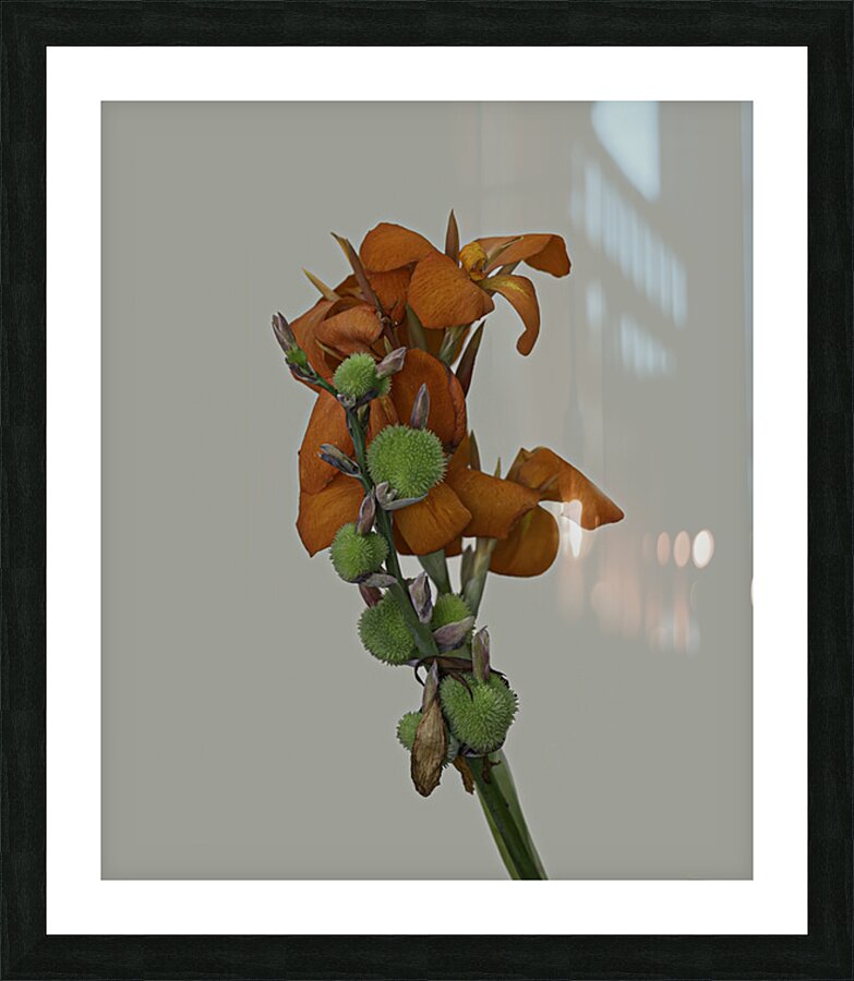 FLO 02661 Picture Frame print