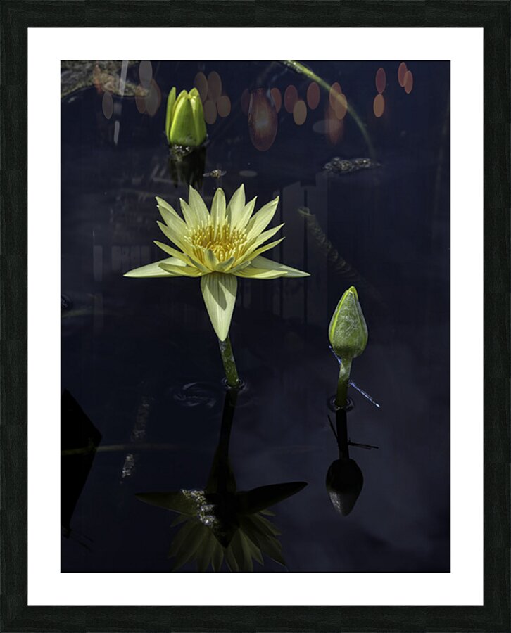 FLO 2700 Picture Frame print