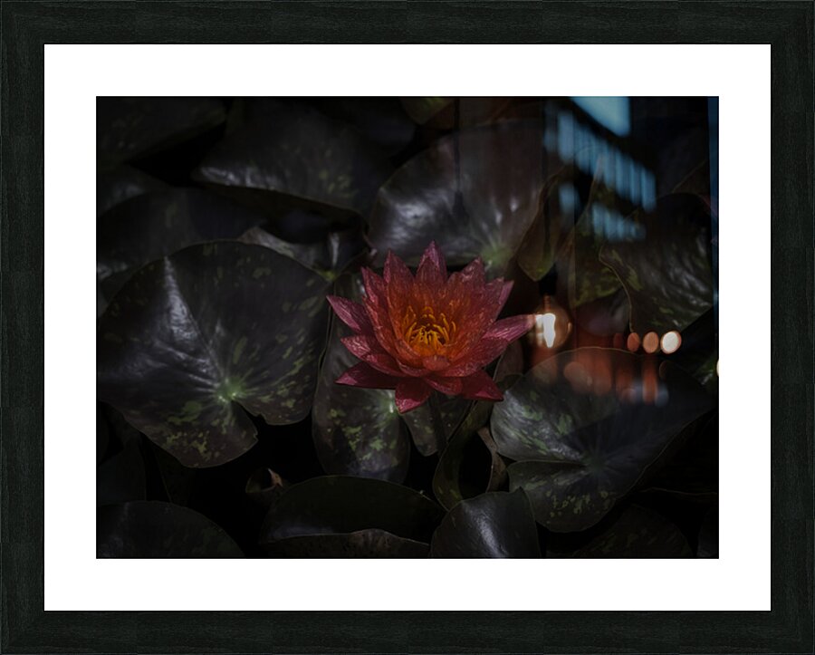 FLO 2699 Picture Frame print