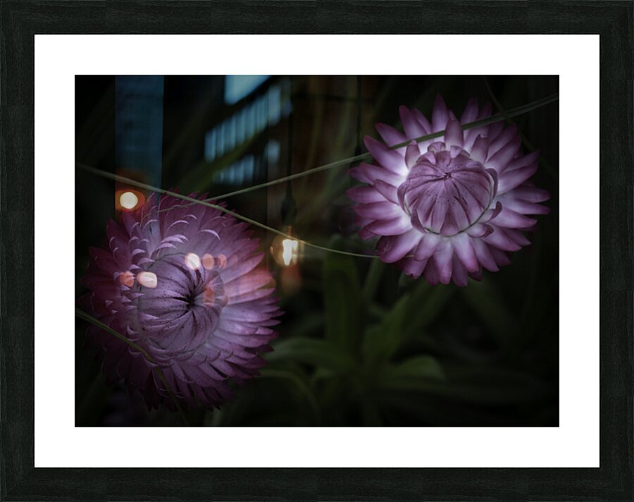 FLO 2695 Picture Frame print