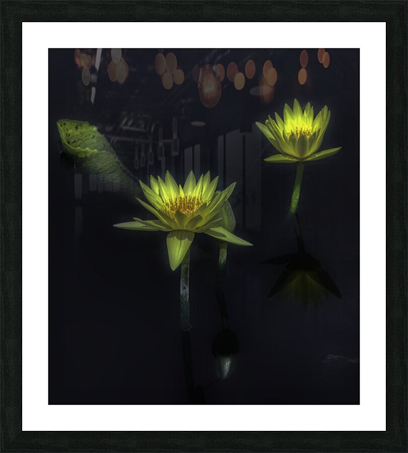 FLO 2697 Picture Frame print
