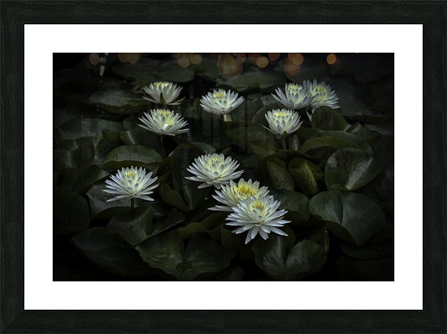 FLO 2705 Picture Frame print