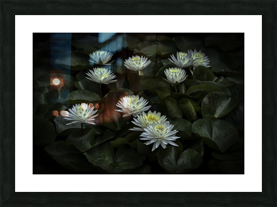 FLO 2705 Picture Frame print
